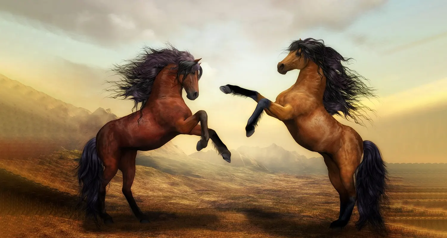 Utopia e distopia differenze di una realta immaginaria