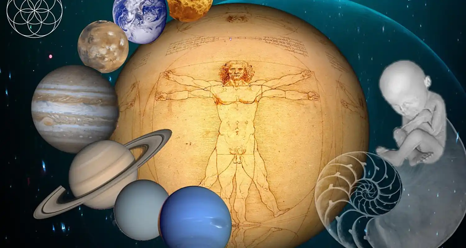 Uomo vitruviano cosa rappresenta il disegno