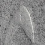 Il simbolo di Star Trek su Marte incredibile scoperta
