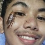 selfie con la blatta la sfida di internet che va avanti da mesi