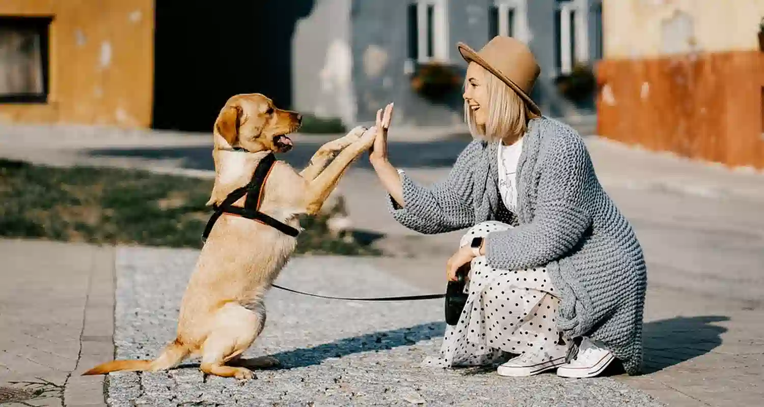 I cani riconoscono le persone cattive lo conferma la scienza