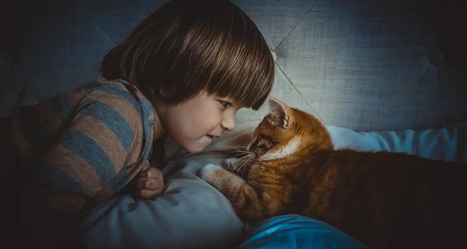 Il gatto nella culla ruba il respiro Credenza o realta
