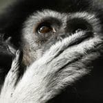 Le storie piu assurde di tutto il 2019