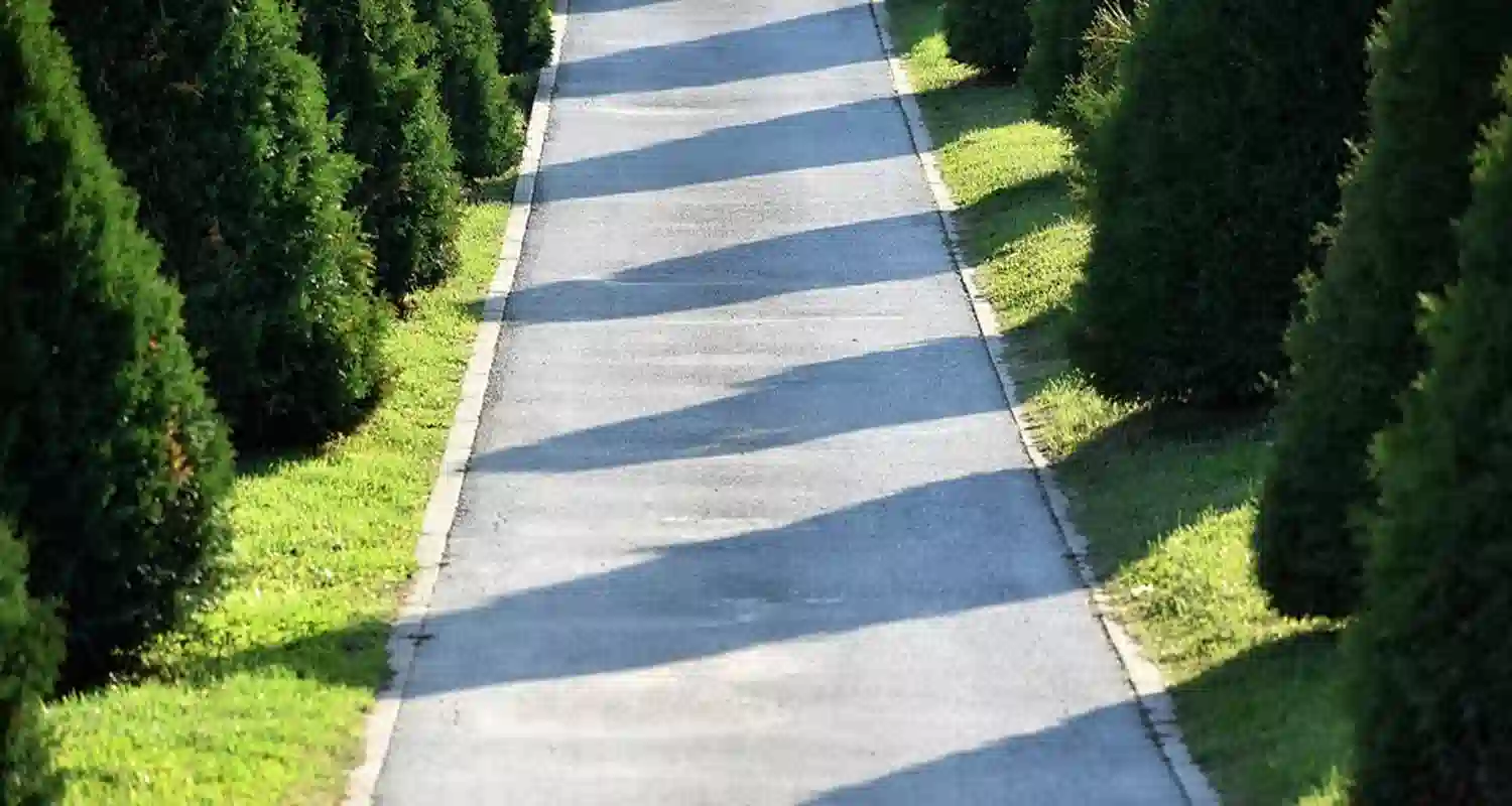 Perche nei nostri cimiteri ci sono proprio i cipressi