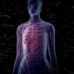 appendice un organo inutile