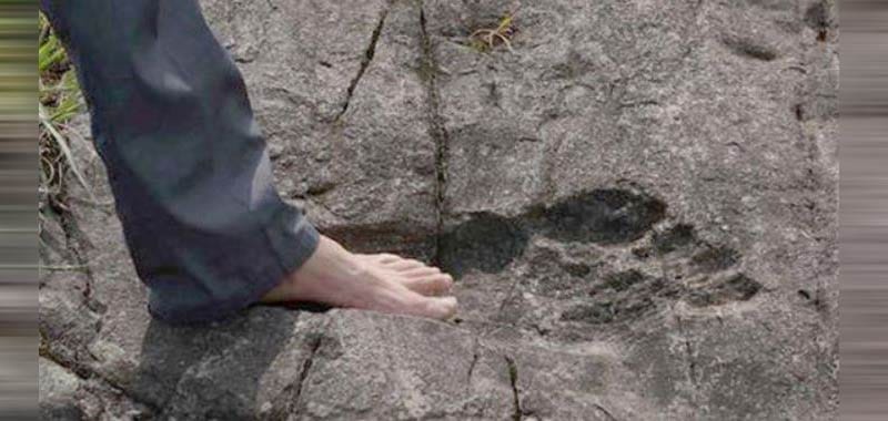 Nuova Zelanda Ritrovate orme giganti impresse nella roccia