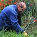 Coronavirus e isolamento evitare bricolage e lavori di giardinaggio