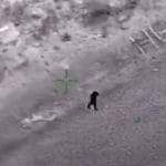 Naufraga su un sola deserta si salva in modo incredibile