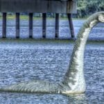 Loch Ness il mostro reale lo prova il DNA