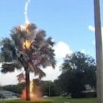 Cielo limpido un fulmine colpisce un albero incredibile video