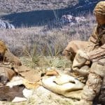 I primi letti al mondo sono stati trovati in Africa