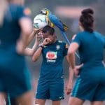 Pappagallo entra in campo e fa sospendere la partita