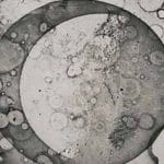 La prima foto della Luna compie 181 anni