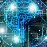 Team di scienziati crea equivalente di un cervello