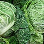 Il cavolo ricco di vitamina K raffoza le ossa