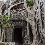 Archeologia Non esiste piu Indiana Jones ma i satelliti