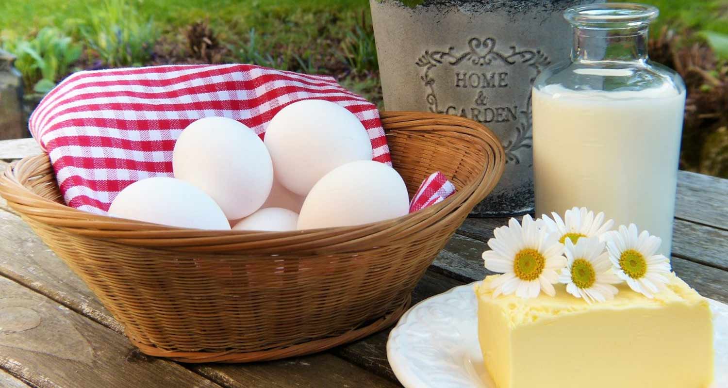 Troppe proteine fanno male alla salute