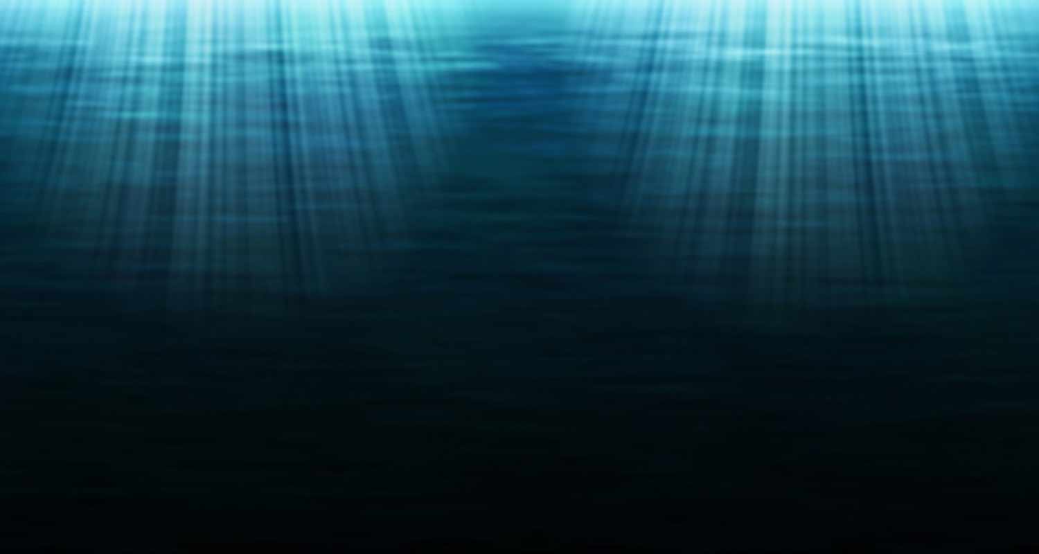 Non conosciamo tantissime creature che vivono nel profondo degli oceani