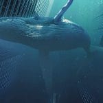 Appassionato Archeologo rivela di aver trovato una citta sommersa