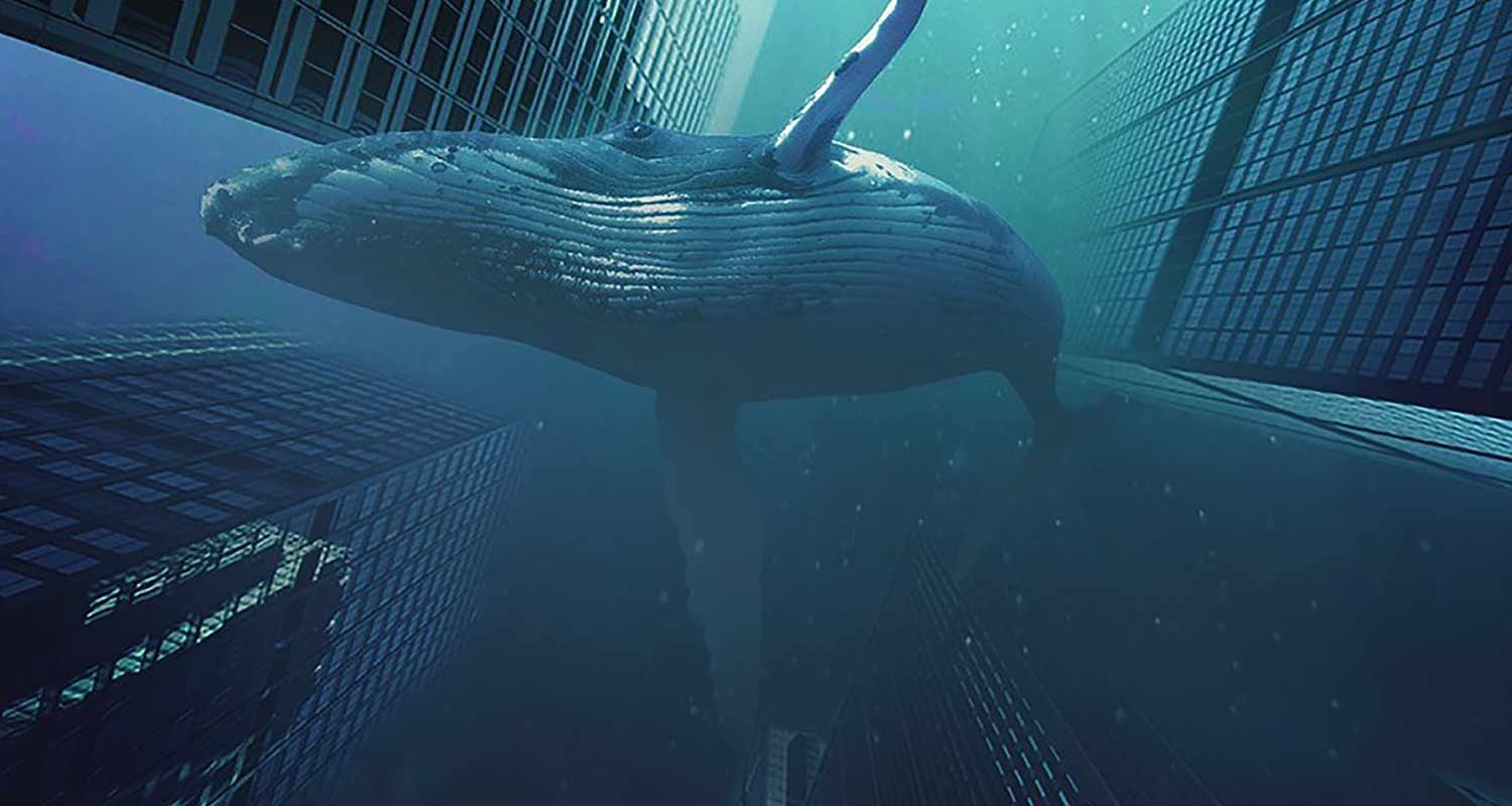 Appassionato Archeologo rivela di aver trovato una citta sommersa