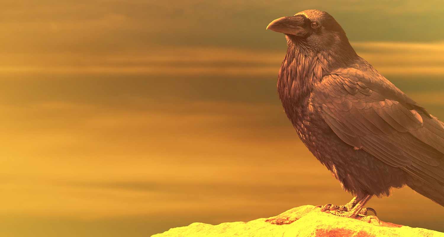 Gli uccelli sono simbolo di presagio di morte