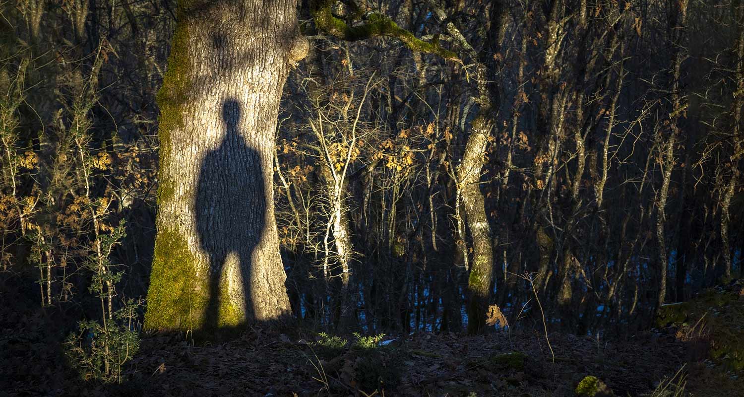 I genitori defunti ci aiutano e sono presenti nella nostra vita