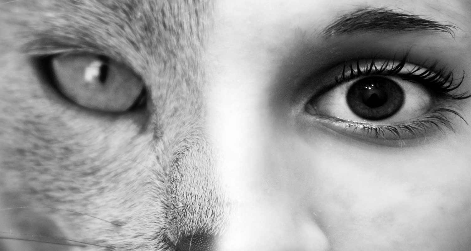 La toxoplasmosi farebbe diventare piu attraenti le persone