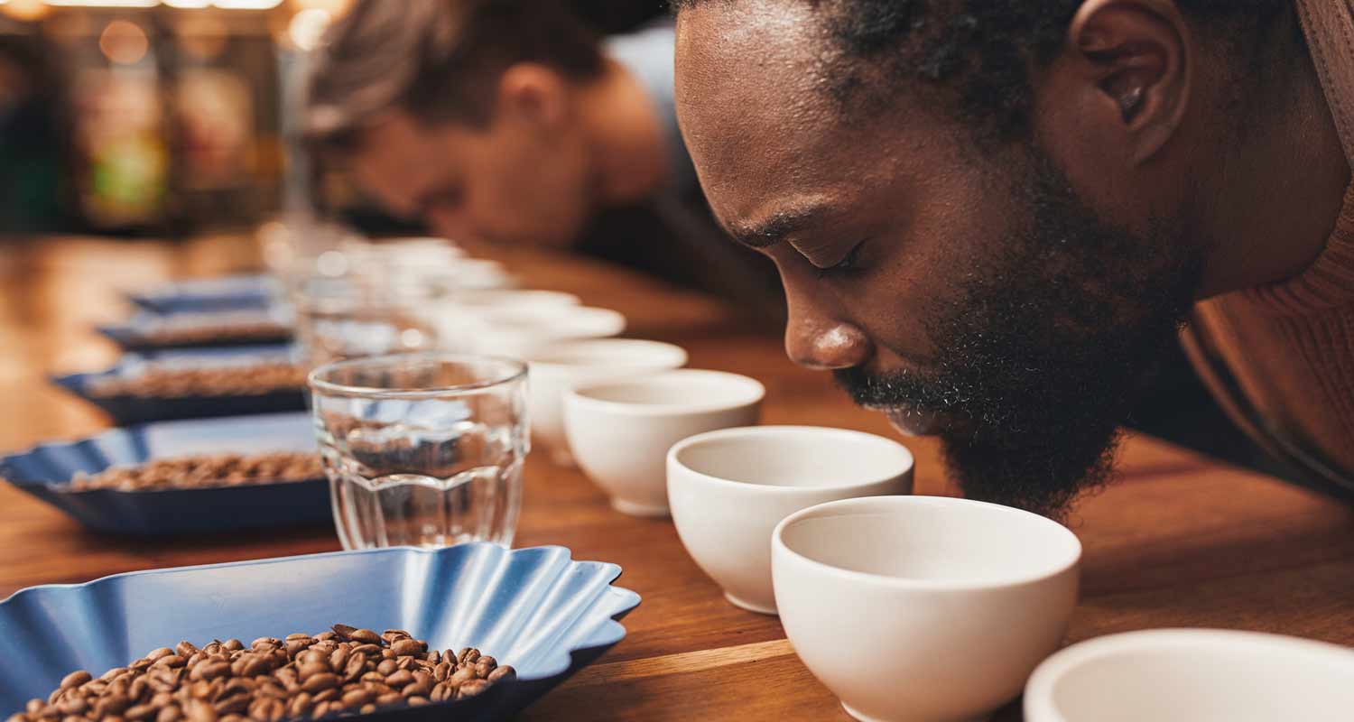 Olfatto il migliore dei sensi ecco perche