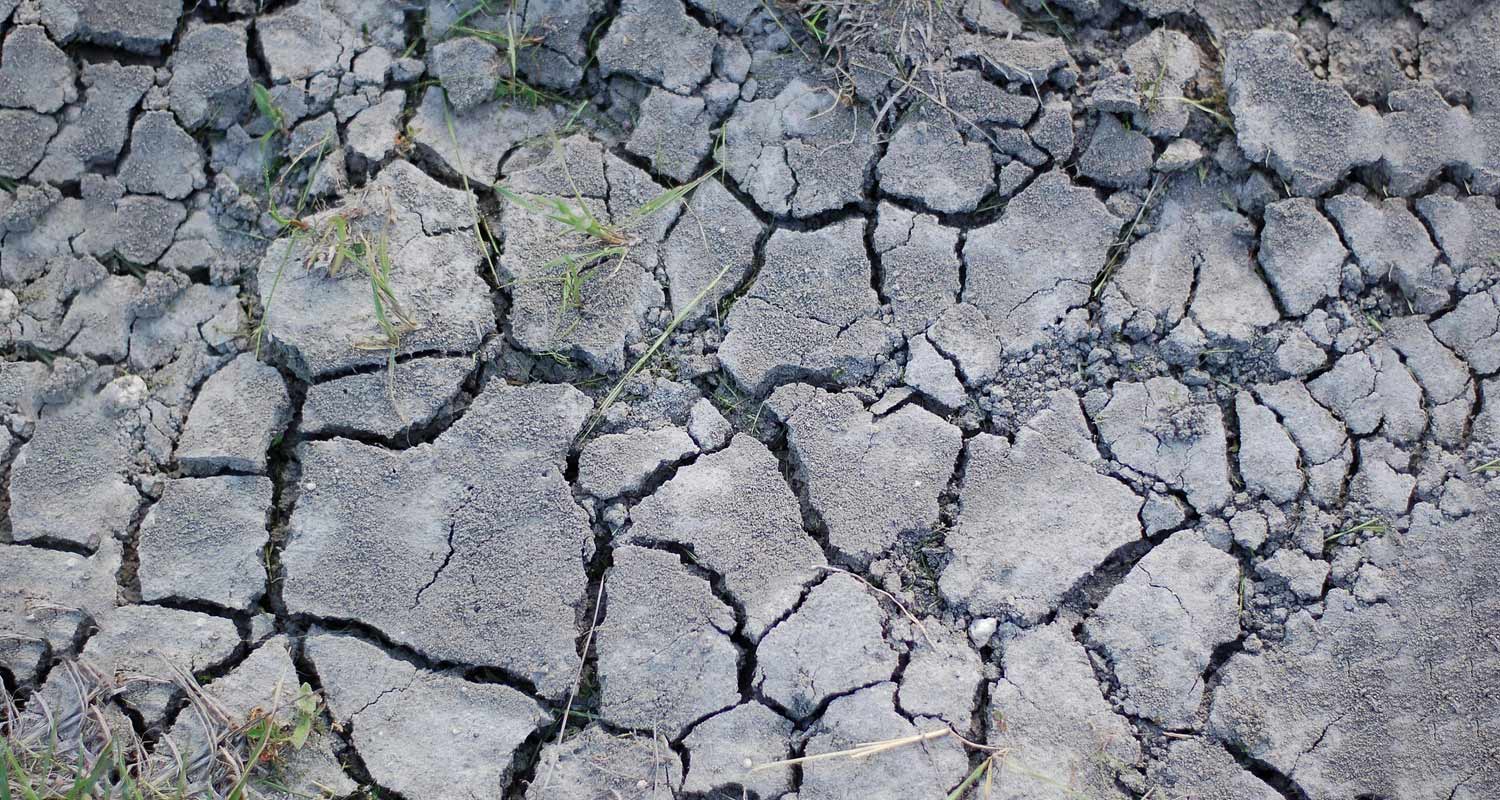 Viaggiatore del tempo Una nuova specie arrivera da una enorme voragine