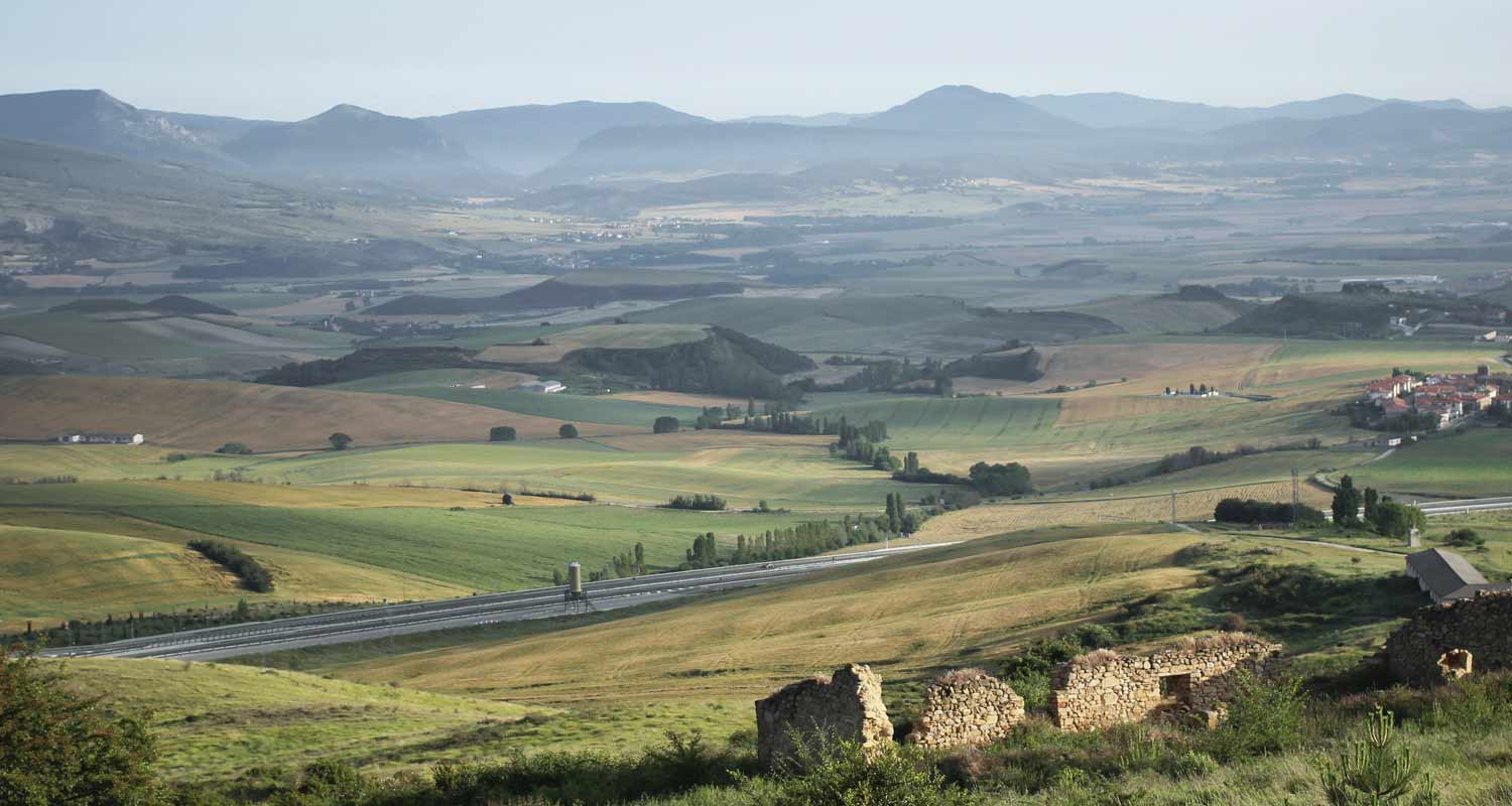 Hype ecovillaggi cosa sono e perche tutti vogliono vivere a contatto con la natura