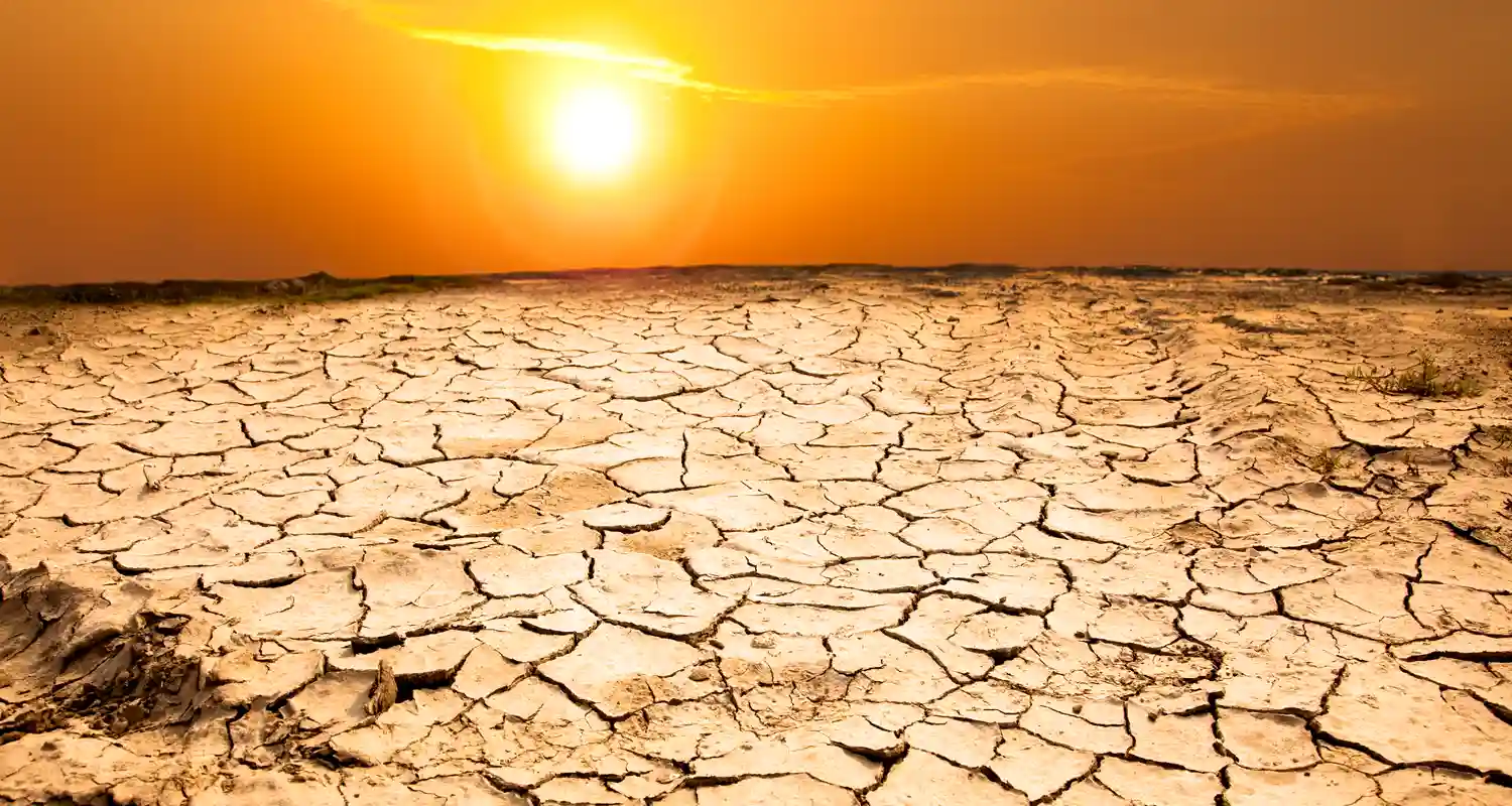 Caldo record in Europa e strana invasione di granchi