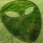 In Inghilterra i cerchi nel grano cambiano da un giorno a altro