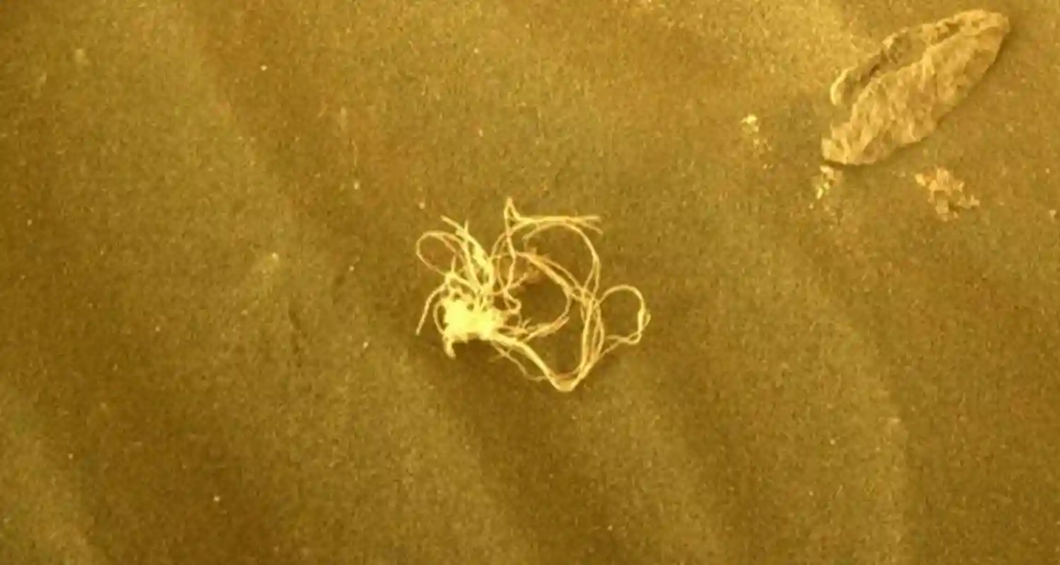 La Nasa spiega ufficialmente il mistero di intreccio trovato su Marte