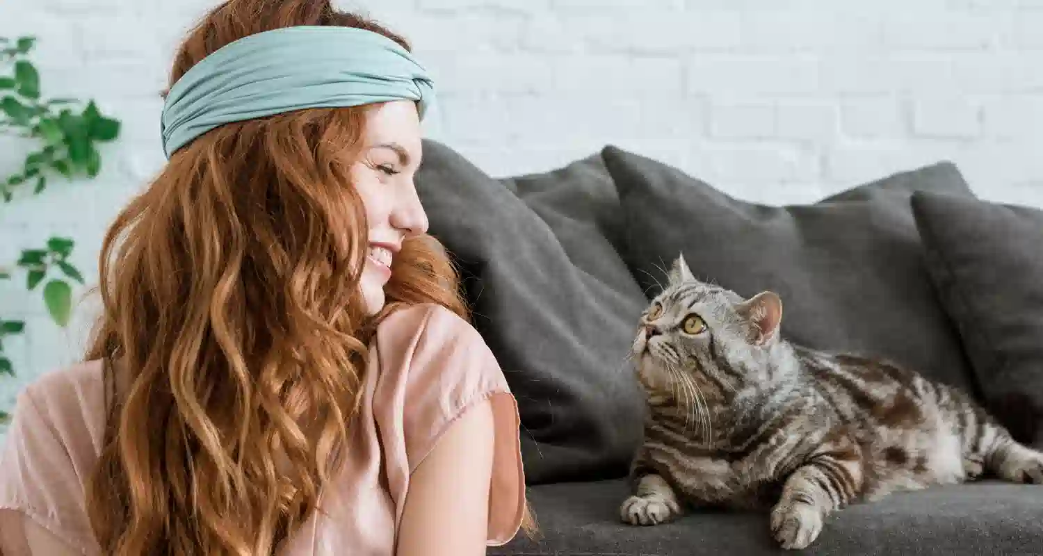 Che succede se il gatto troppo possessivo con il padrone