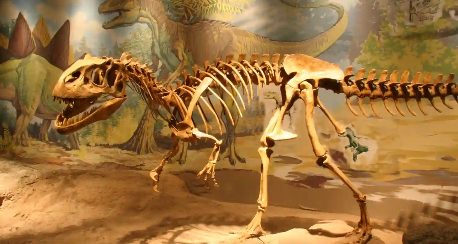 Dinosauro di 150 milioni di anni messo a asta