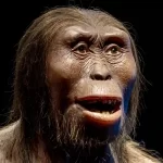 I casi studiati de anello mancante uomo-scimmia