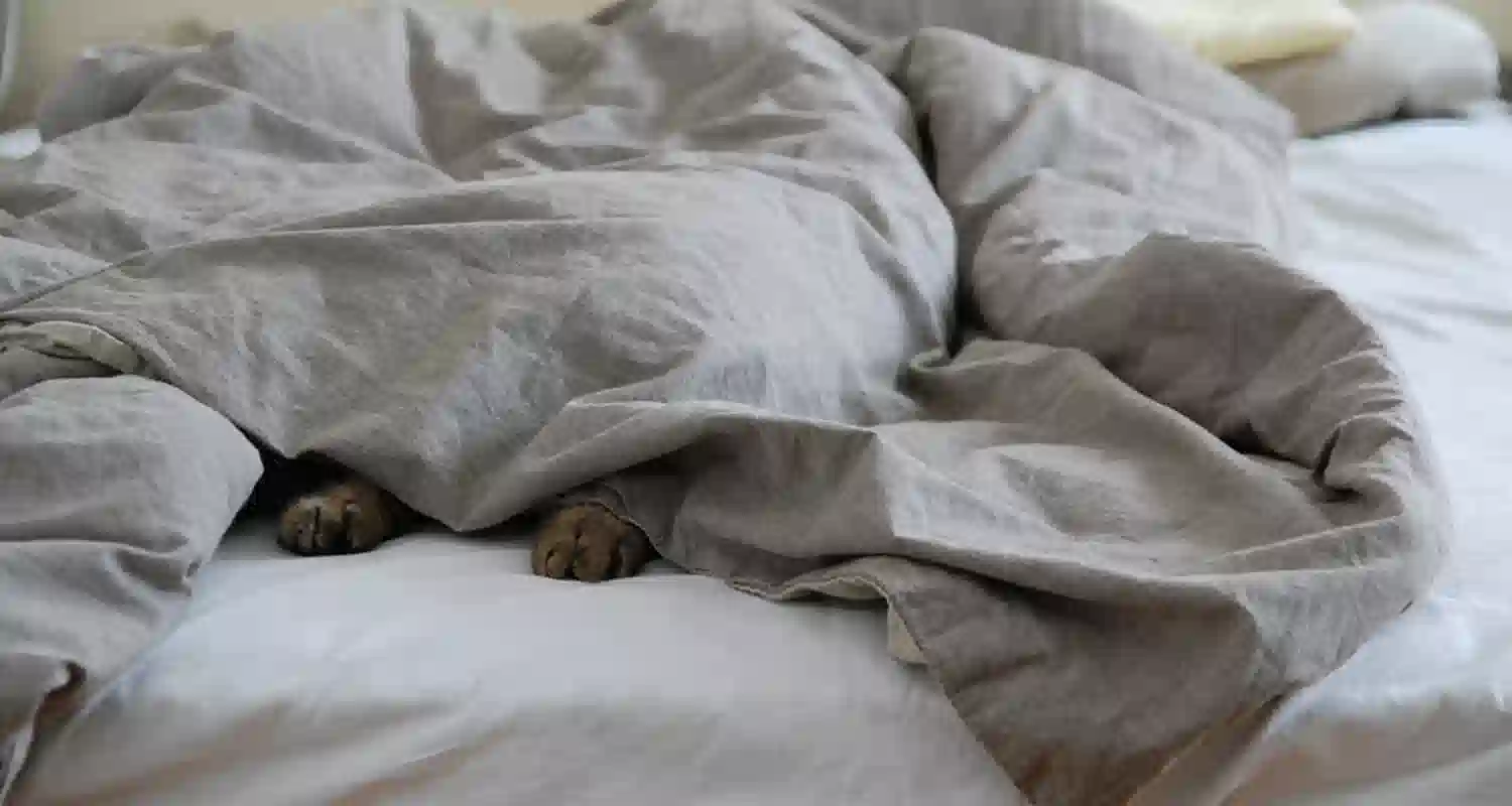 Ecco quando devi cambiare il piumino tutti i consigli