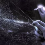 Cosa significa vedere un ragno segno positivo o negativo