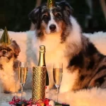 Buttare il frigorifero le tradizioni piu strane per capodanno