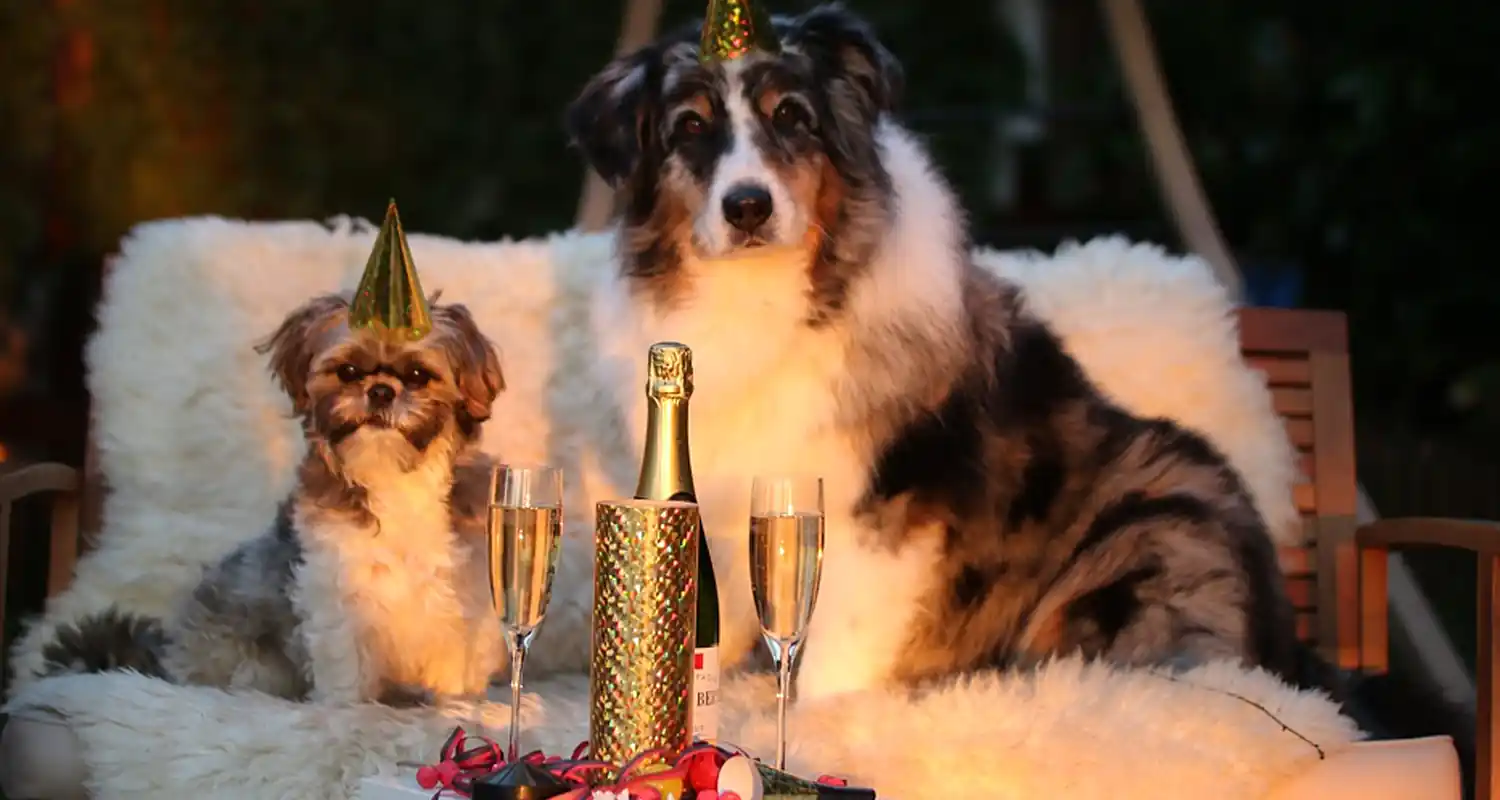 Buttare il frigorifero le tradizioni piu strane per capodanno