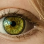 Il colore verde riduce il dolore secondo la scienza