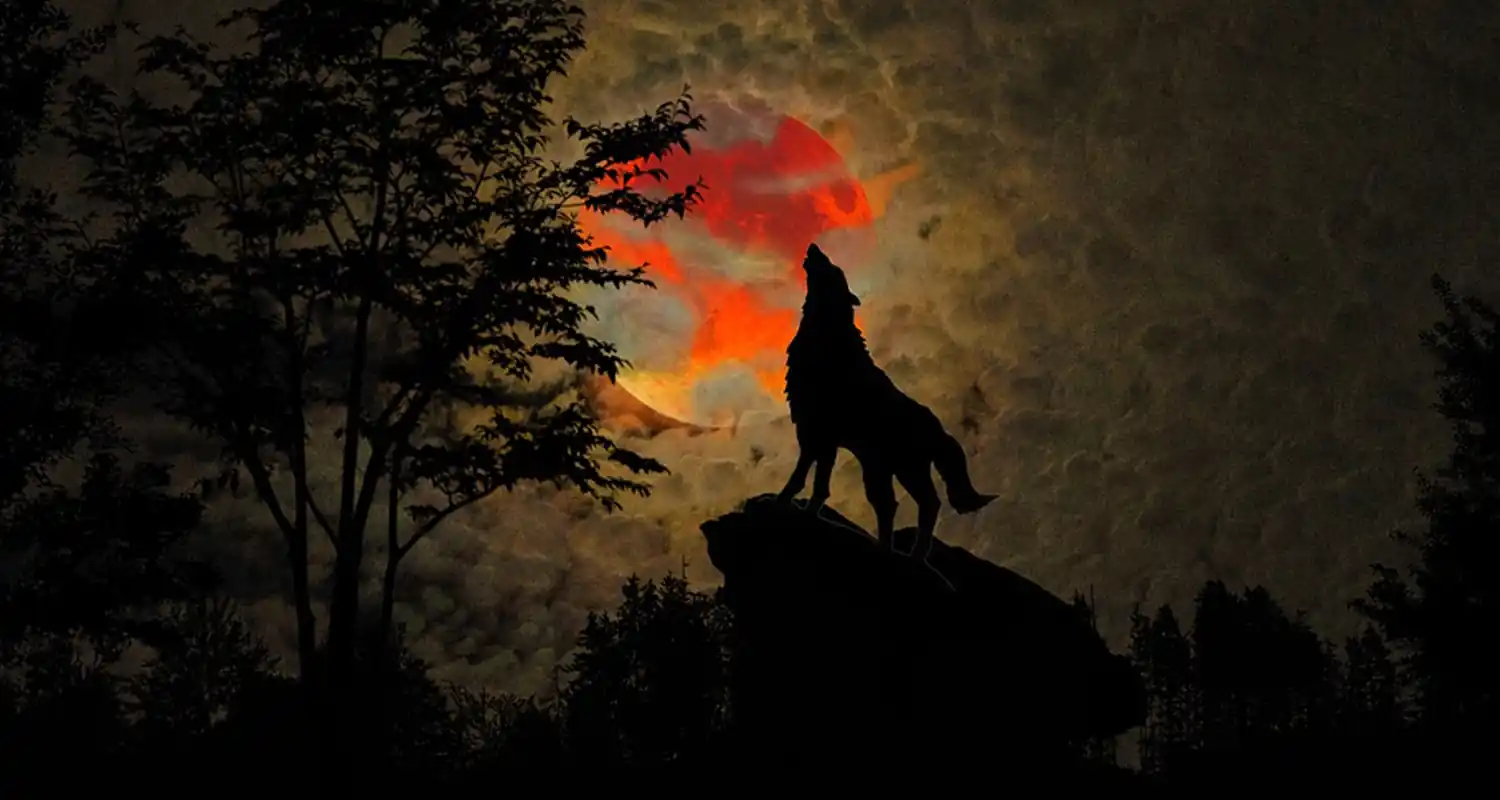 Lupi mannari leggende o realta che si tramandano