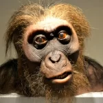 Quali sono le scoperte piu incredibili de umanita