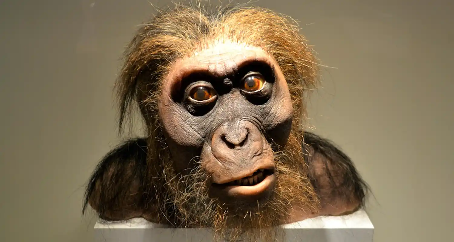 Quali sono le scoperte piu incredibili de umanita