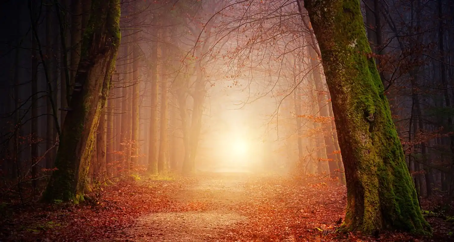 I sogni possono aiutarci a predire il futuro