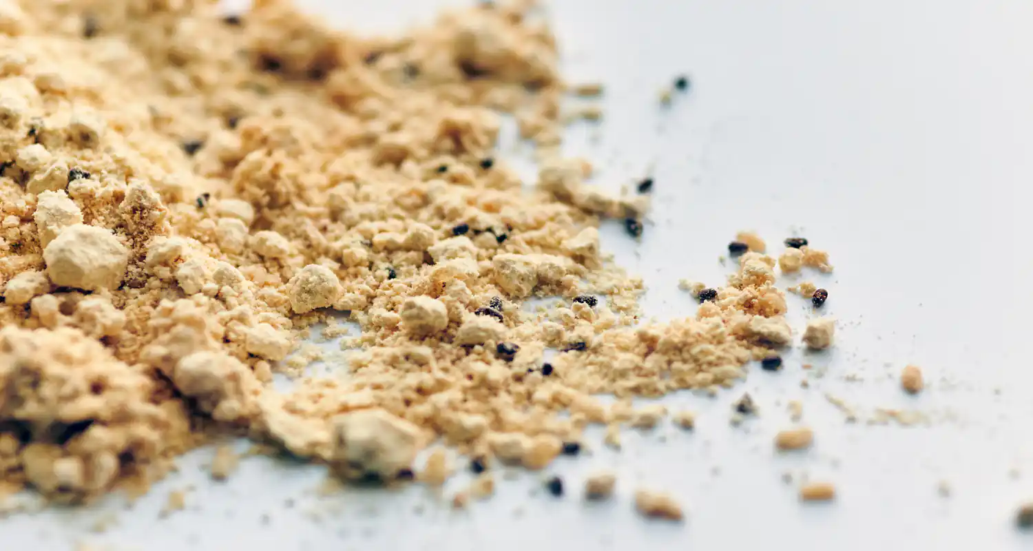 Stiamo mangiano farina di insetti e non lo sappiamo