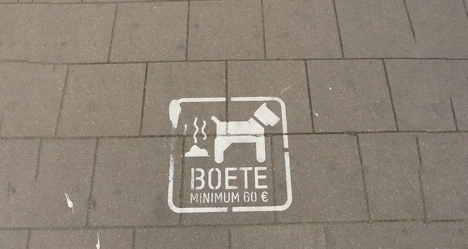 Cosa rappresenta la cacca nei sogni