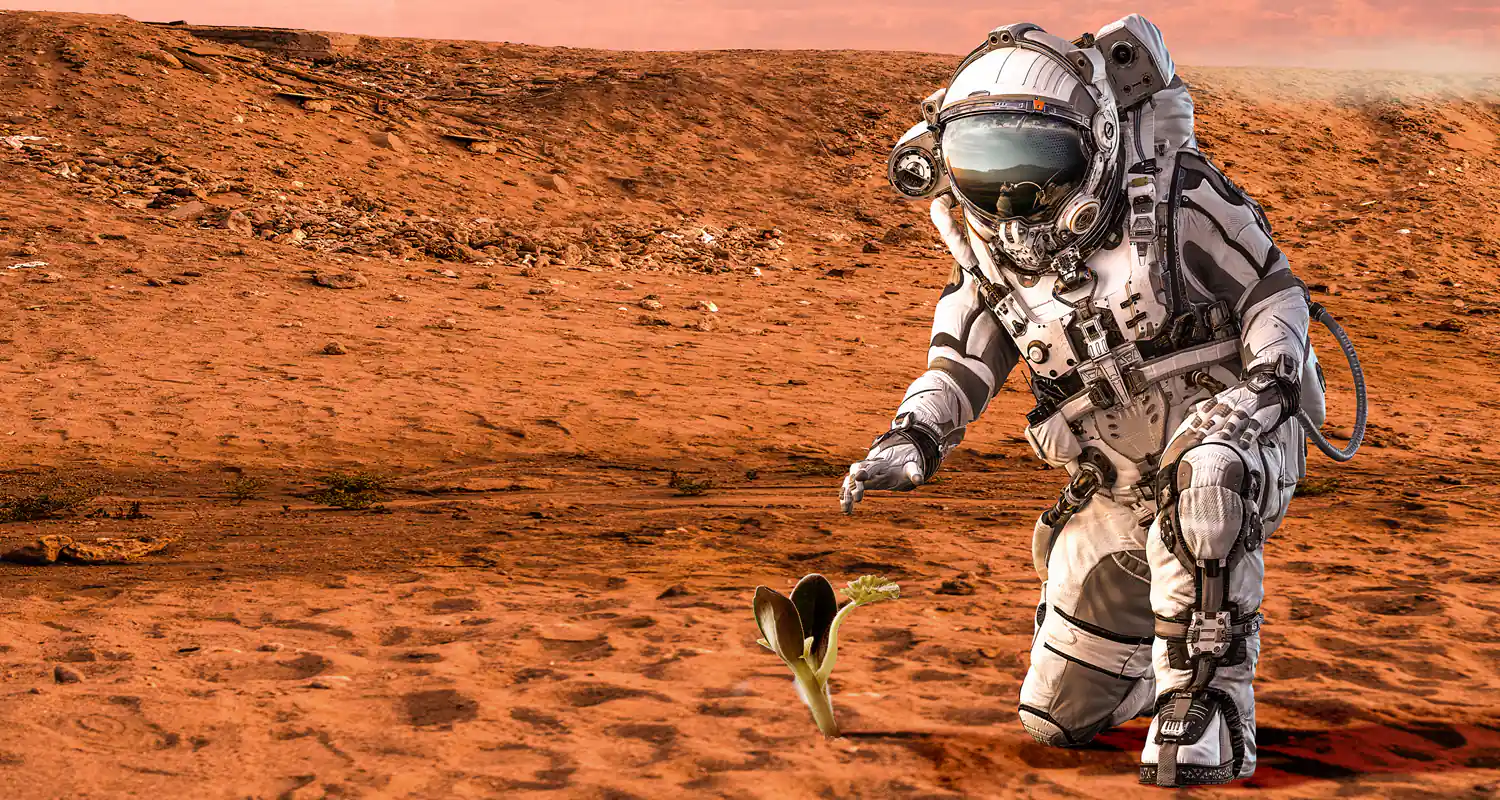Marte si lavora per creare delle foreste sul pianeta rosso