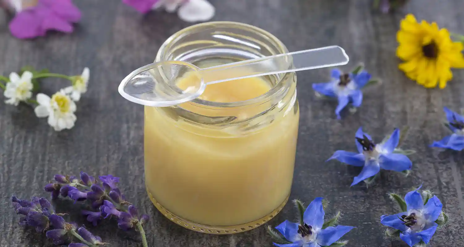 a cosa serve la pappa reale negli anziani