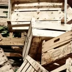 Sono anni che faccio la spesa nei cassonetti ecco quanto risparmio